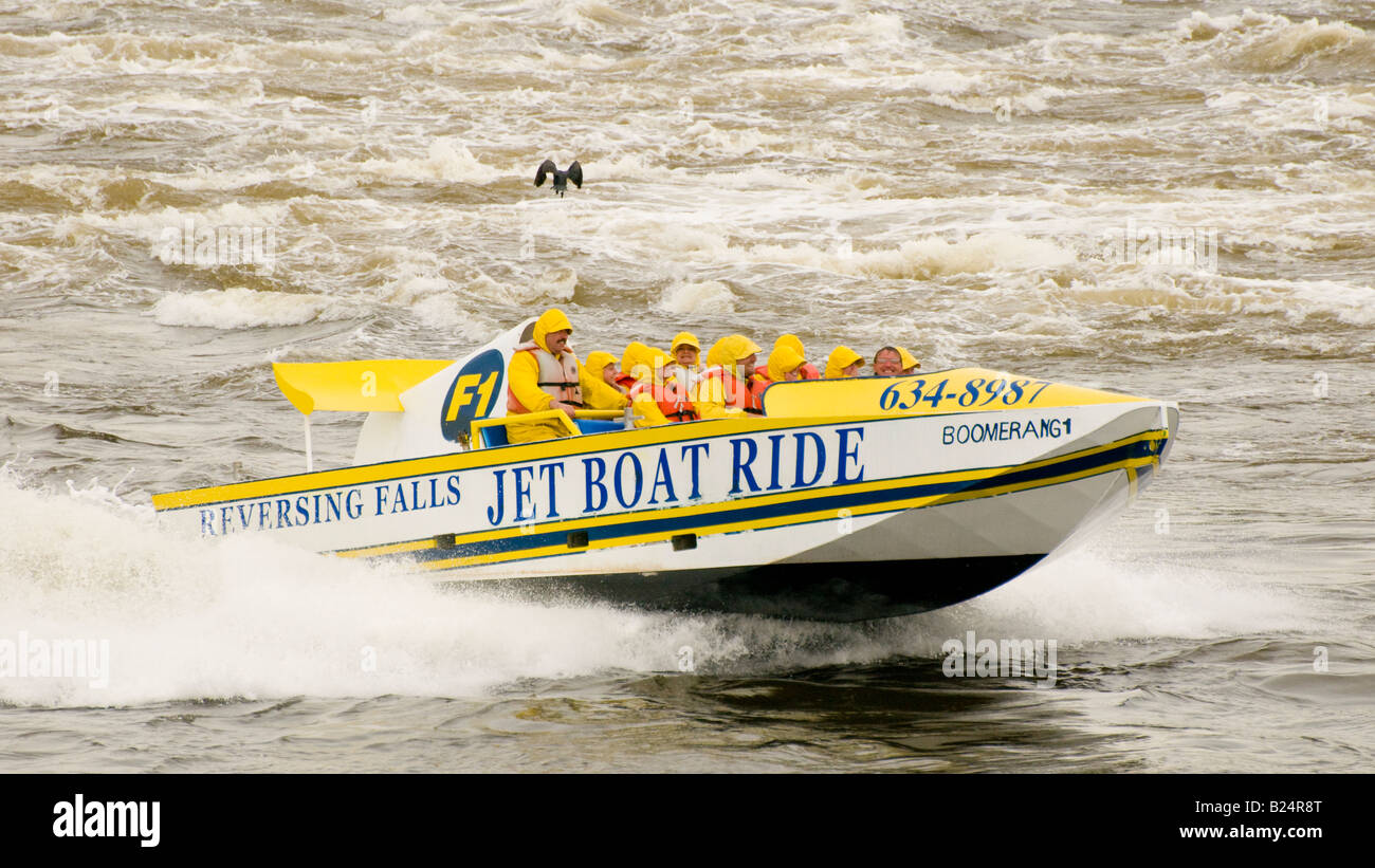 Canada New Brunswick turisti godendosi emozionanti cade retromarcia giro in motoscafo fiume Saint John Città di San Giovanni Foto Stock
