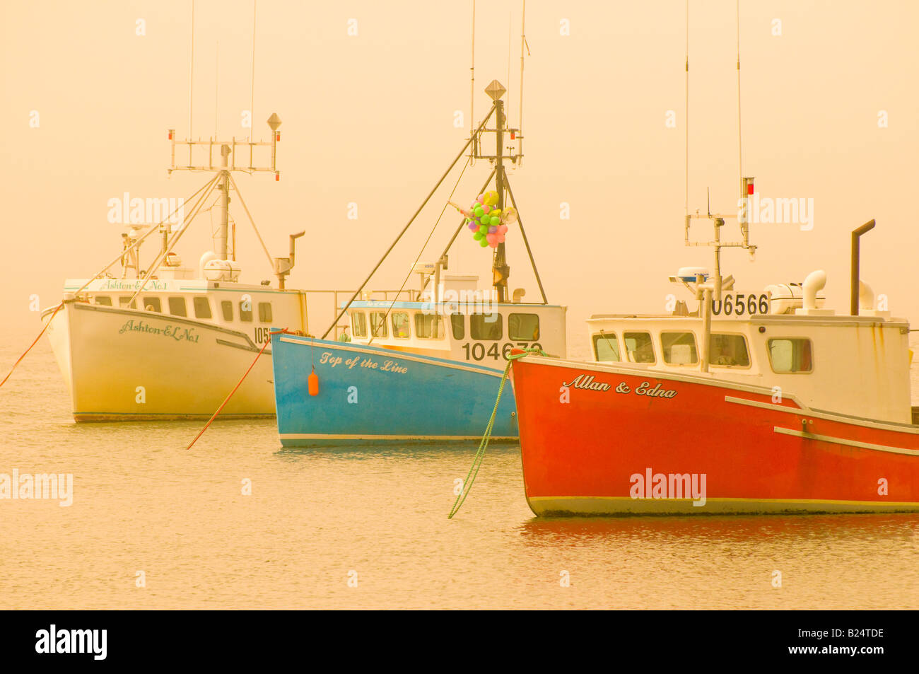 Canada New Brunswick commerciali colorate barche da pesca ormeggiate nella nebbia della Baia di Fundy Litorale Foto Stock