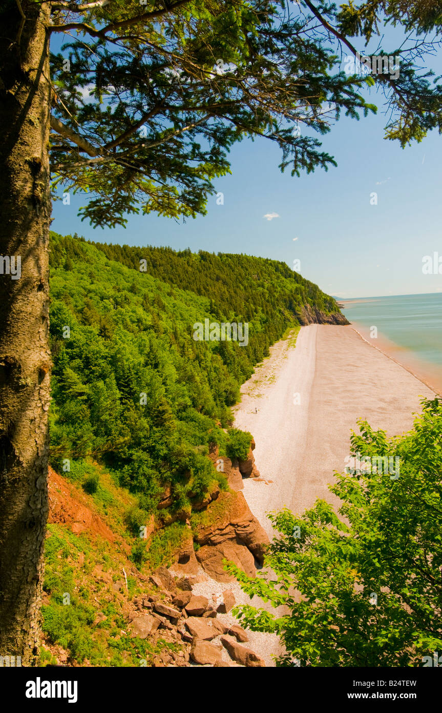Canada New Brunswick Fundy Trail Parkway Scenic trascurare di Long Beach e la baia di Fundy vicino a St Martins Foto Stock