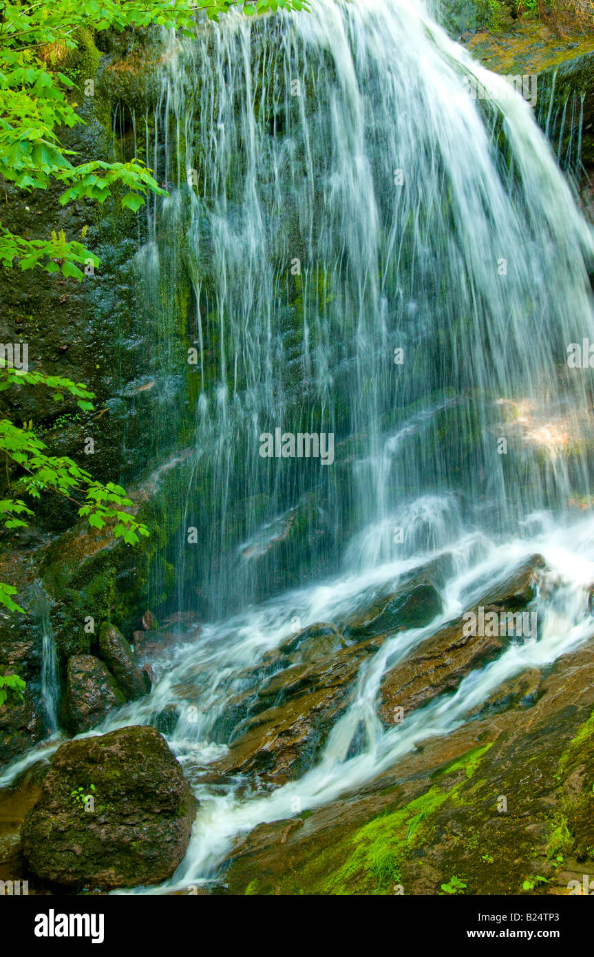 Canada New Brunswick Fundy Trail Parkway vista panoramica delle cascate Fulller Baia di Fundy vicino a St Martins Foto Stock