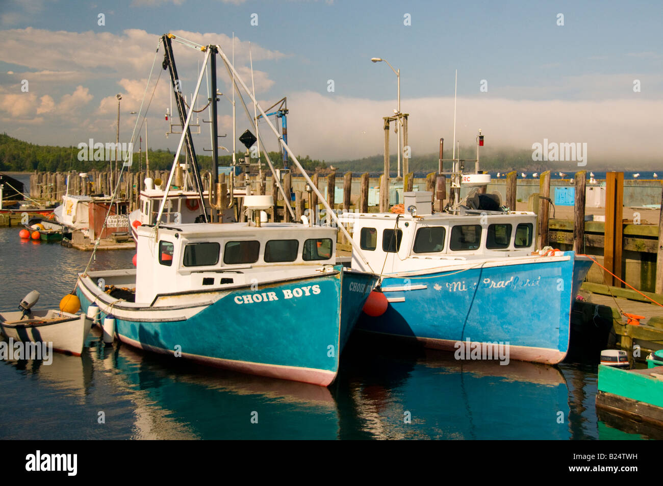 Canada New Brunswick commerciali colorate barche da pesca ancorata al Beaver Porto Molo di ingresso della Baia di Fundy Foto Stock