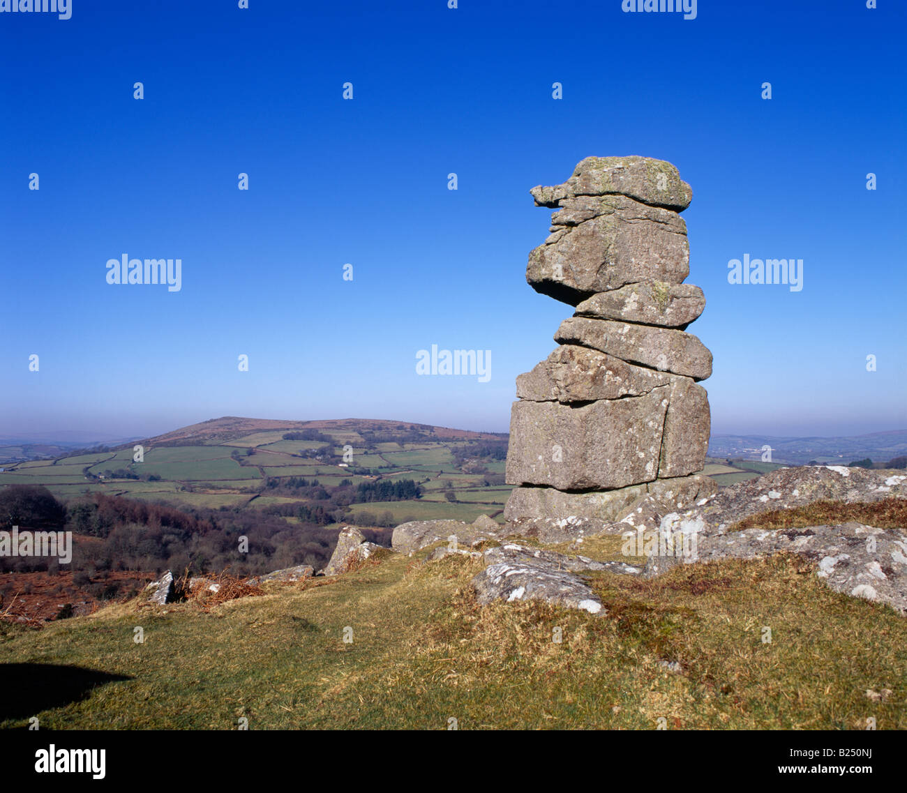 Bowermans naso granito stack a Hayne giù nel Dartmoor National Park, Manaton, Devon, Inghilterra. Foto Stock
