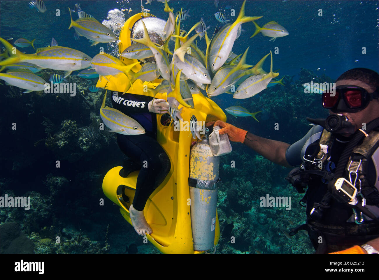 Mobs di pesce giallo intorno i sommergibili e scuba diver Stuart Cove s Dive Nassau Paradise Island Bahamas Foto Stock
