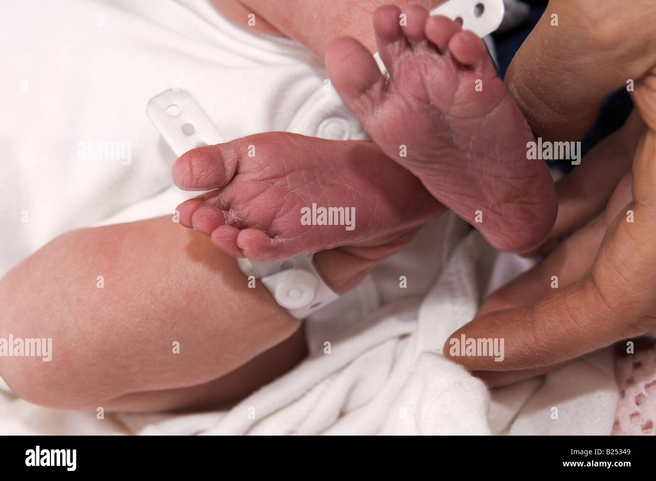 Adulto mani tenendo i neonati piedi con ospedale tag di identificazione sulle gambe Foto Stock