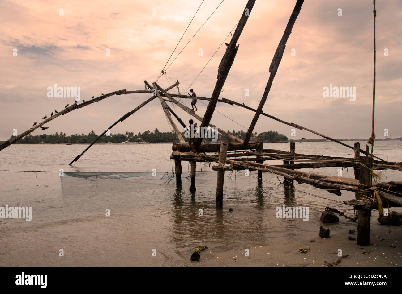 Cinese di reti da pesca lungo la sponda settentrionale del Fort Cochin Kochi Cochin India Kerala Foto Stock