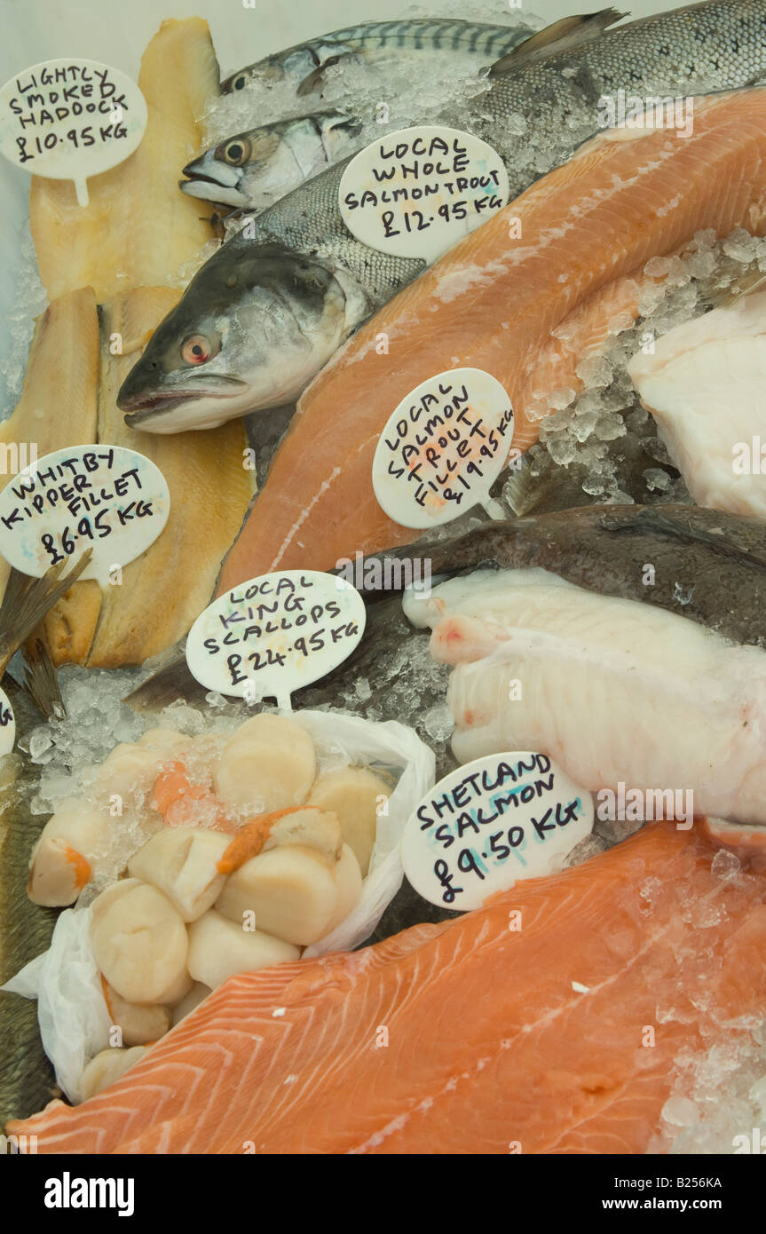 I frutti di mare e pesce fresco con etichette su ghiaccio in stallo del mercato Foto Stock