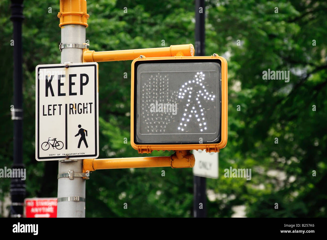 'Go' semaforo pedonale - New York City, Stati Uniti d'America Foto Stock