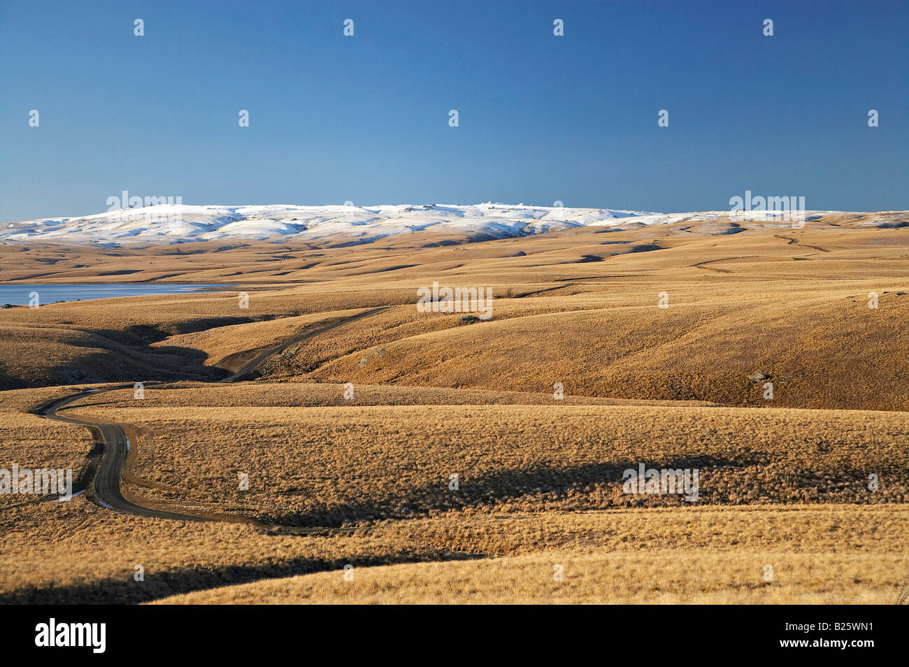 Il vecchio sentiero Dunstan Logan masterizzare il serbatoio Grande Palude di Moss e Rock e il pilastro gamma Central Otago Isola del Sud della Nuova Zelanda Foto Stock