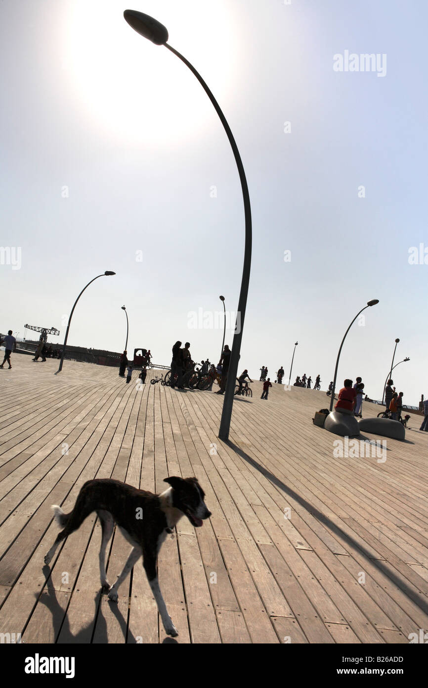 Trendy area portuale Namal, Tel Aviv, Israele Foto Stock