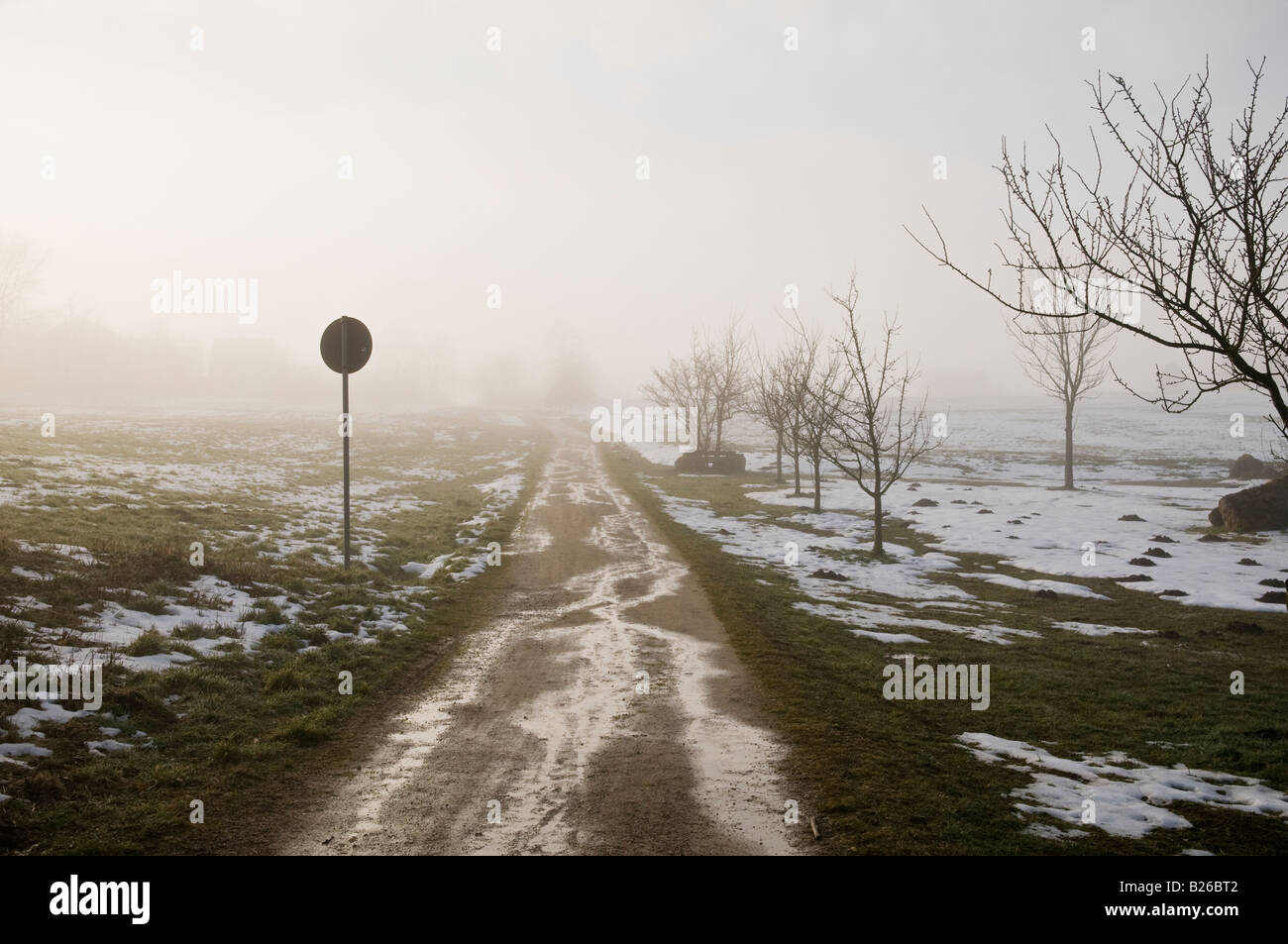 La fusione di neve in inverno tardo sulla strada sterrata attraverso i campi agricoli, Auerbach, Baviera, Germania Foto Stock