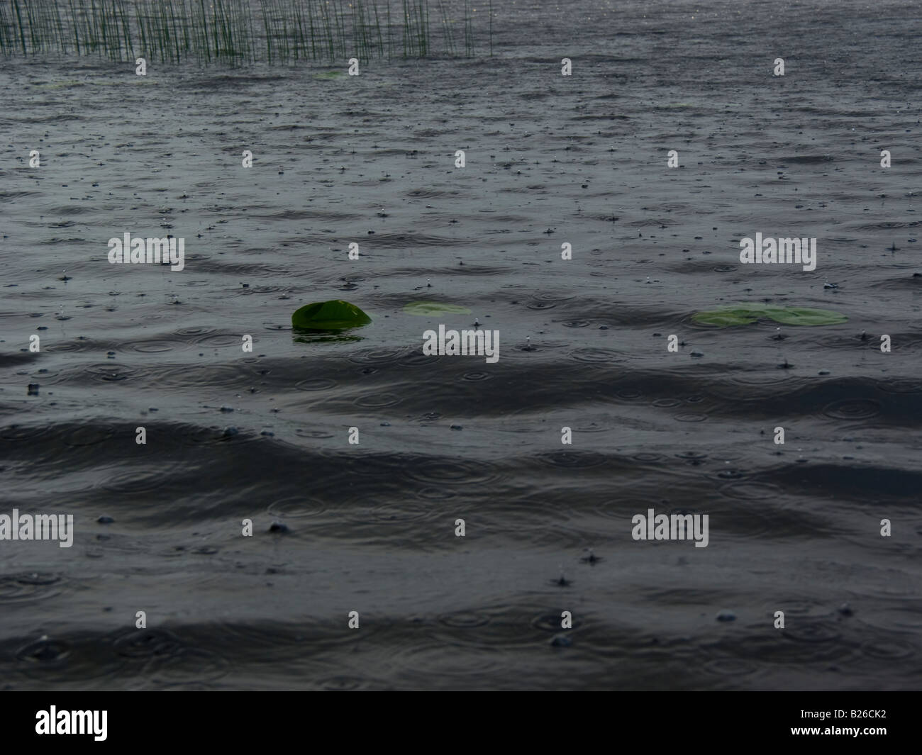 Le gocce di pioggia rimbalzante su superficie di lago Foto Stock