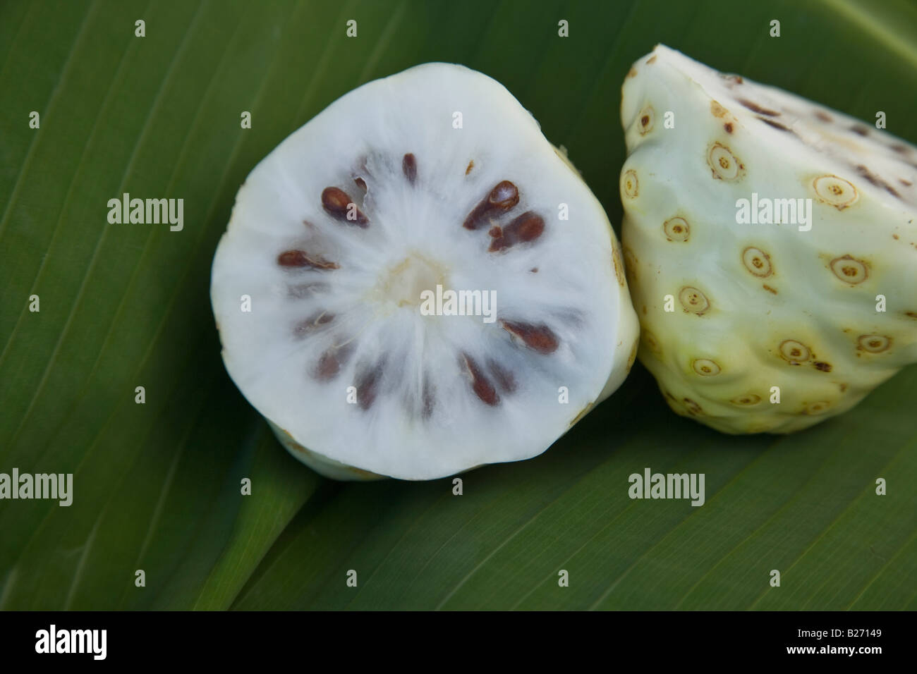 Frutto del noni. Foto Stock
