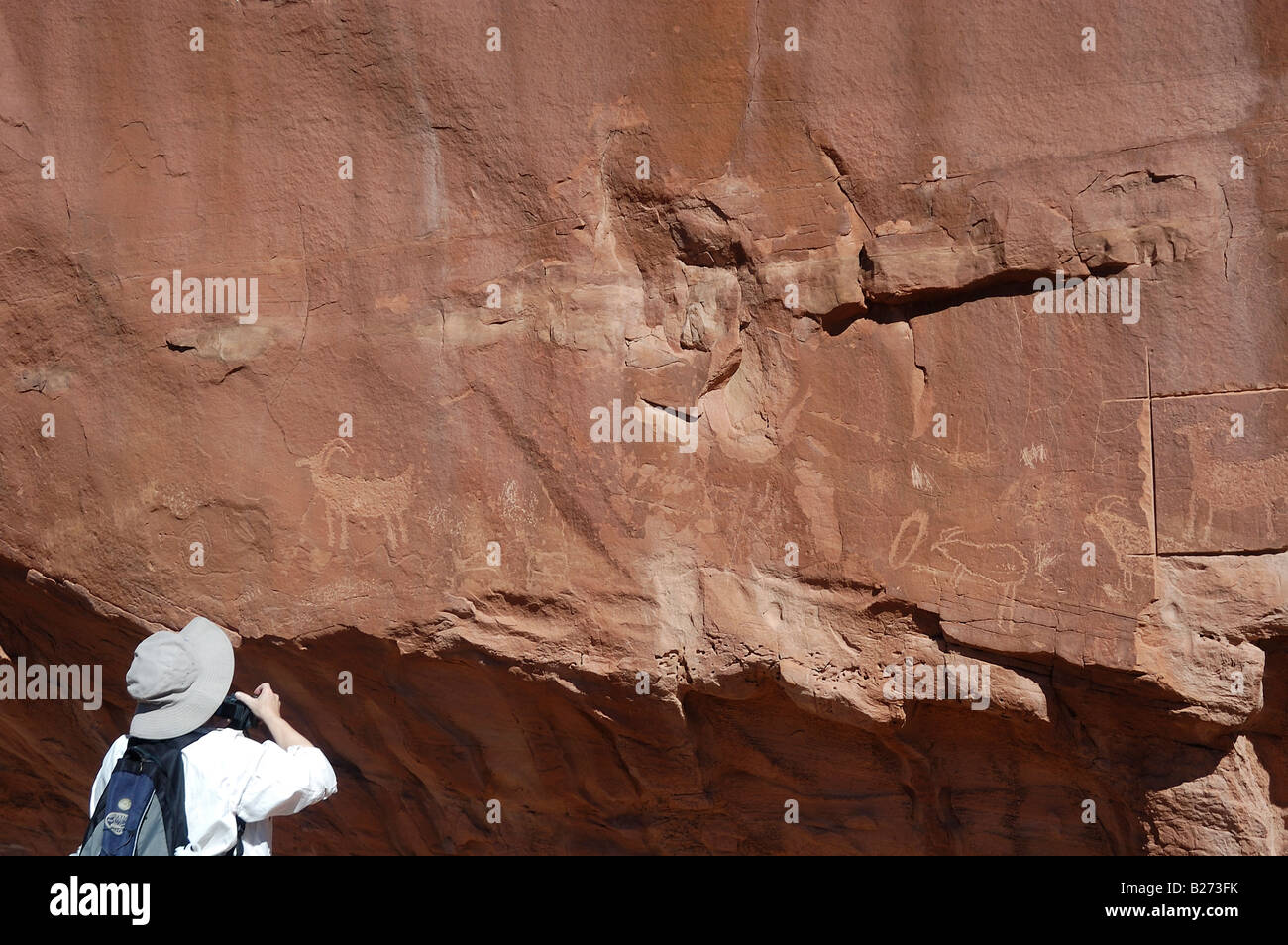 Signora fotografare pannello est di petroglifi Escalante National Monument, UT 050926 2575 Foto Stock