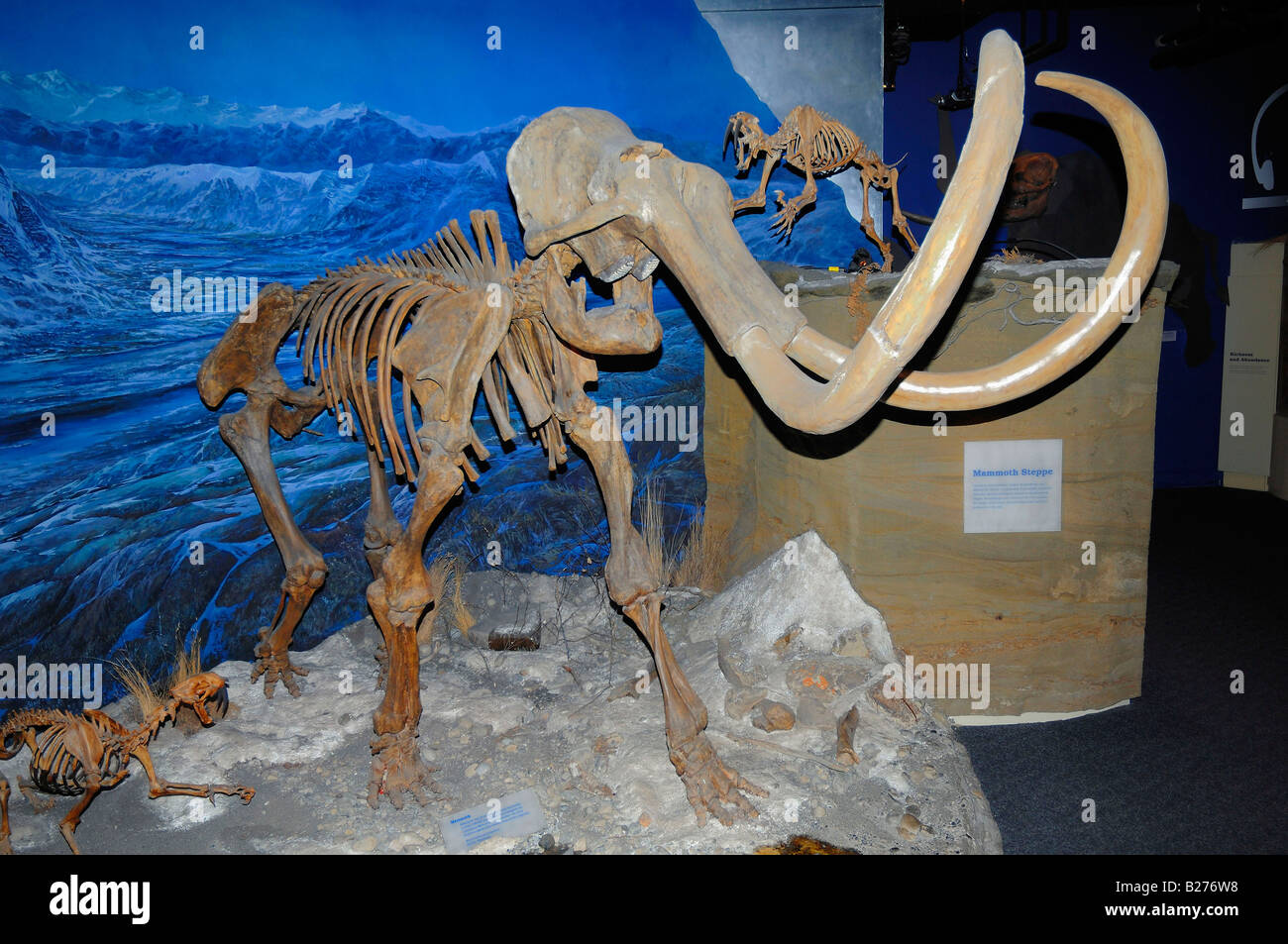 Lo scheletro di un mammut al Royal Tyrrell Museum di Drumheller, Alberta, Canada Foto Stock