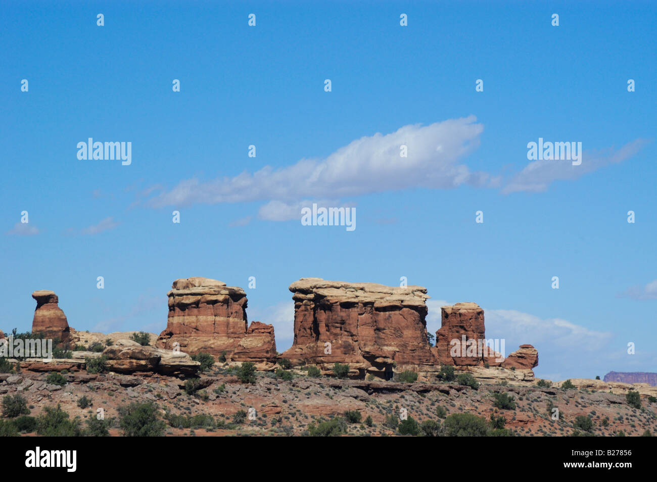 Elephant Hill Road aghi Canyonlands UT 051003 3043 Foto Stock