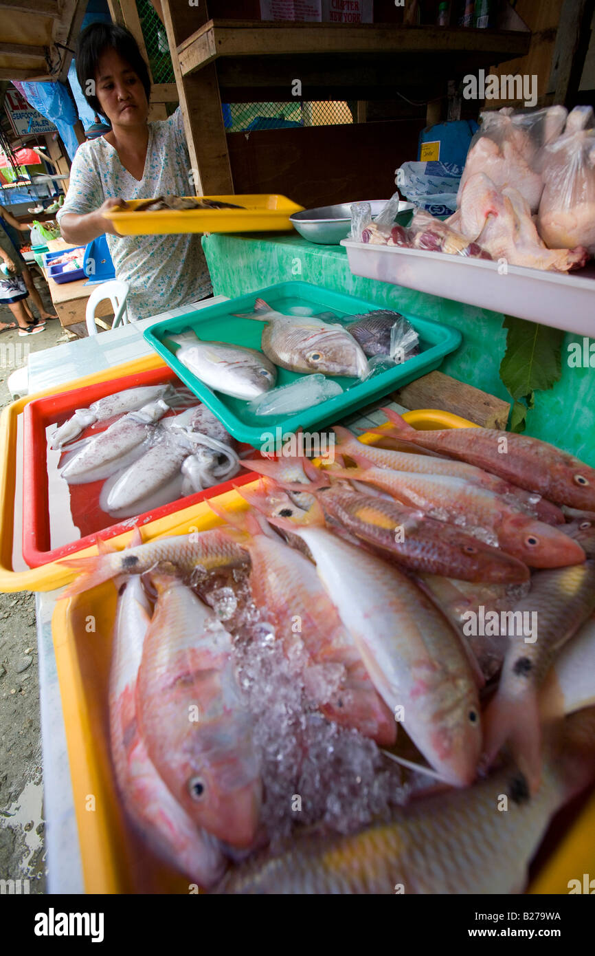 Un Filipina di scorte la sua visualizzazione in un mercato di frutti di mare vicino a Puerto Galaera in Sabang Oriental Mindoro Filippine Foto Stock
