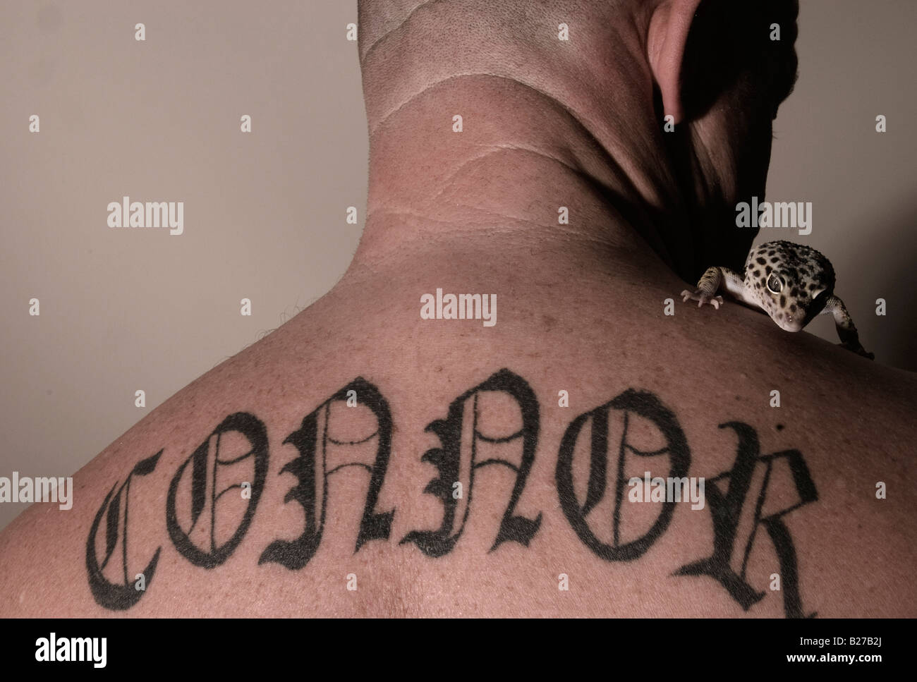 Leopard Leopard Geko Lucertola Uomo Tatuaggi Foto Stock Alamy