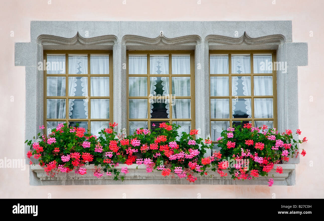 Finestre con fiori immagini e fotografie stock ad alta risoluzione - Alamy