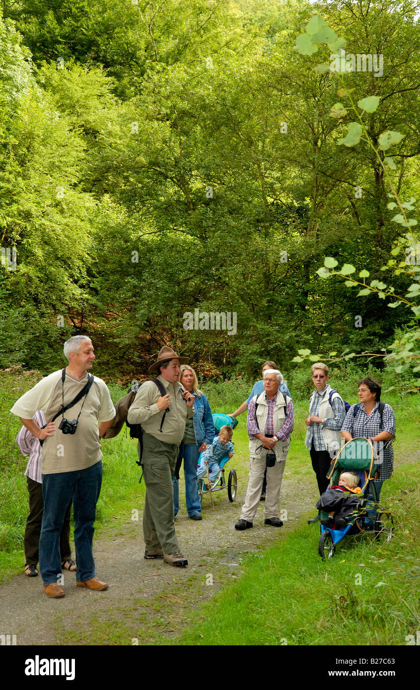 Ranger con escursionismo gruppo su un viaggio guidato attraverso il Parco Nazionale riserva naturale Eifel, Renania settentrionale-Vestfalia, Germania Foto Stock