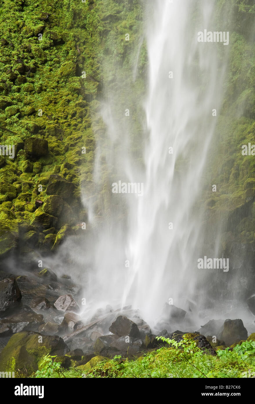 Watson Creek Falls Umpqua National Forest Oregon Foto Stock