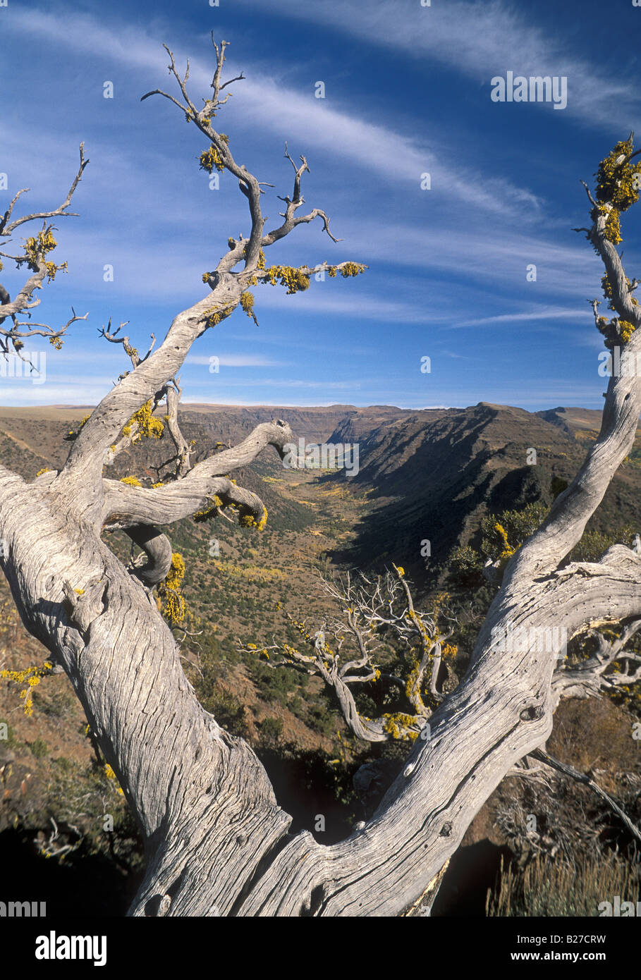 Grande Gola indiano Steens montagna Oregon orientale Foto Stock