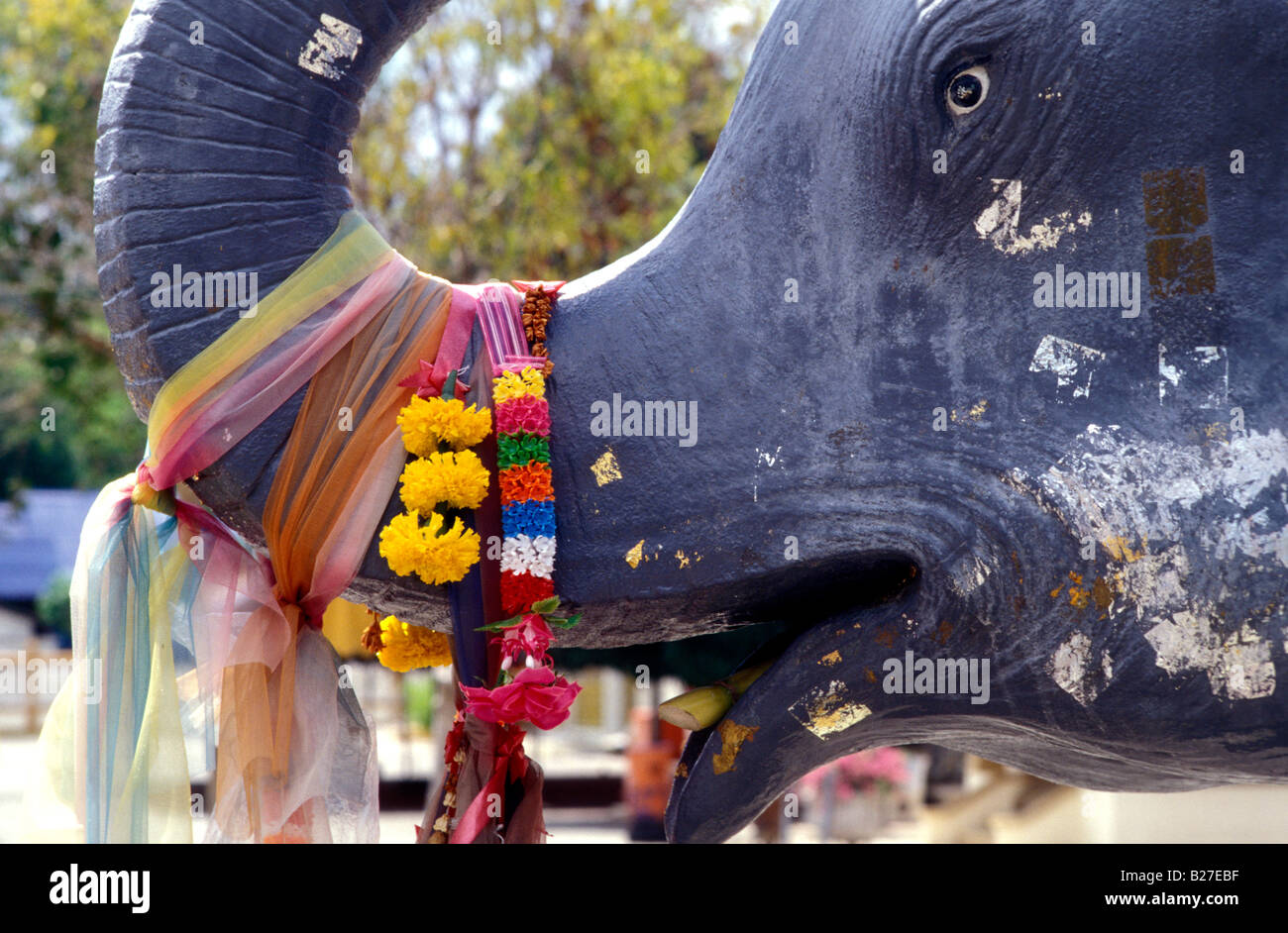 Wat Chalong sacro elephant PHUKET THAILANDIA Foto Stock