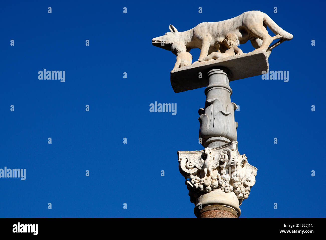 Lupo senese nella piazza del duomo di siena toscana italia meridionale in europa Foto Stock