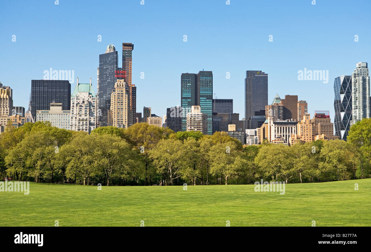 Edifici intorno pecore di Prato, New York, Stati Uniti Foto Stock