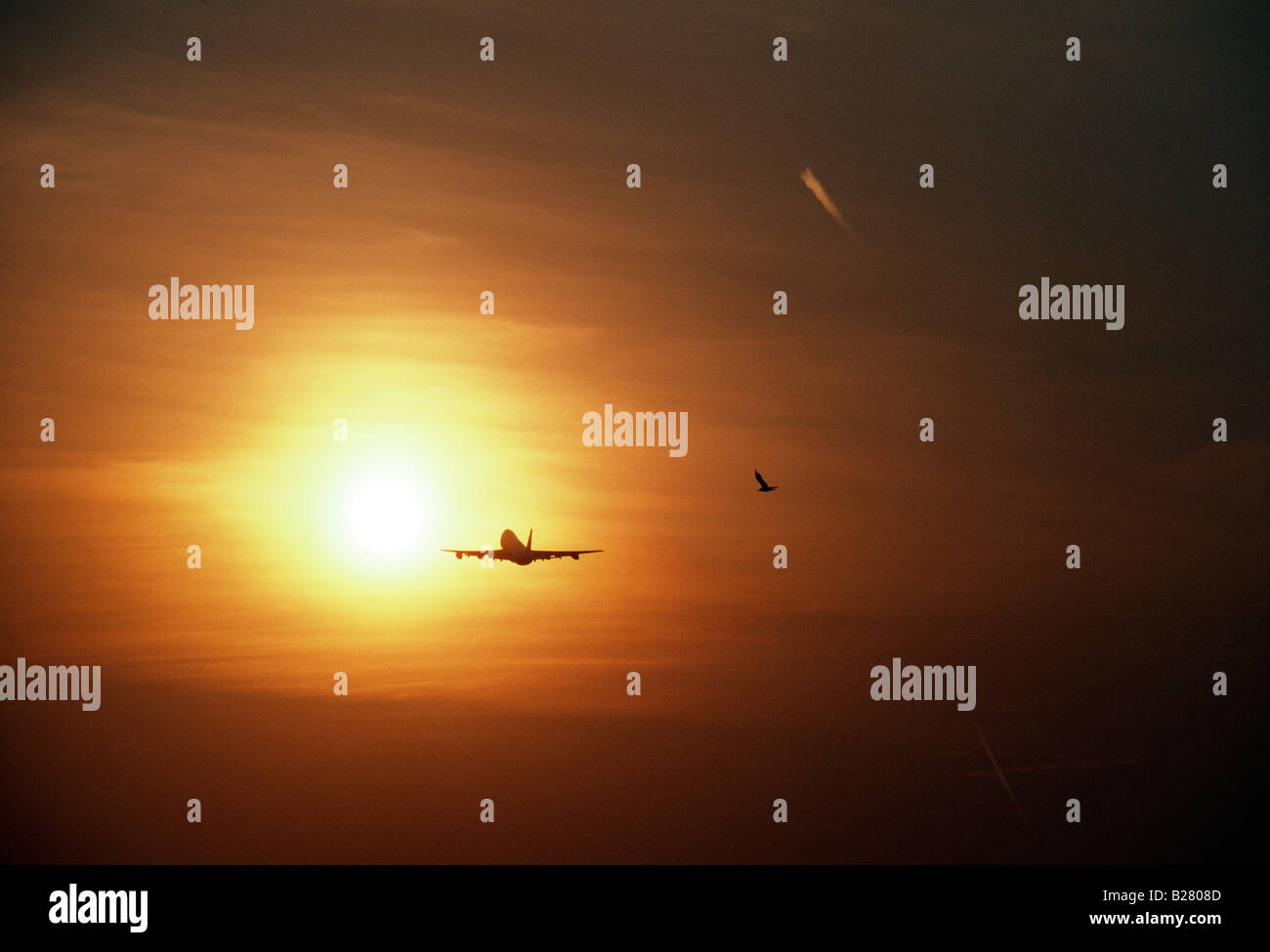 Gli aeromobili commerciali a getto e grande uccello volare nell'arancione, regolazione del sole Foto Stock
