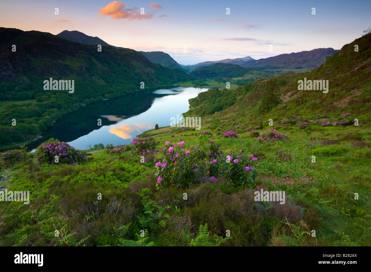 Una serata estiva in precedenza Lllyn Dinas nel Parco Nazionale di Snowdonia Foto Stock