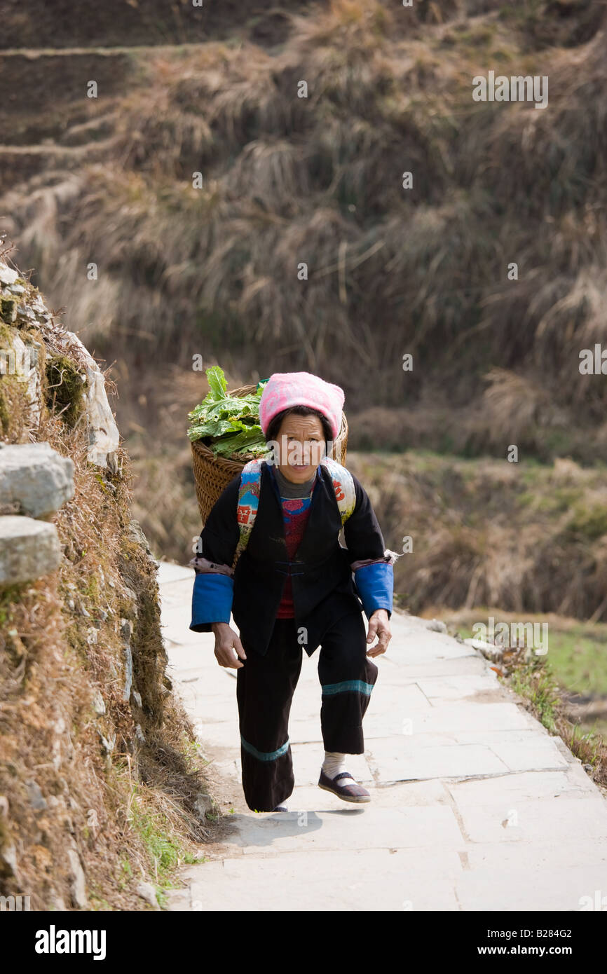 Donna che trasportano le verdure nel cestello di un bauletto portaoggetti dal villaggio di montagna di Ping Un Guilin Cina Foto Stock