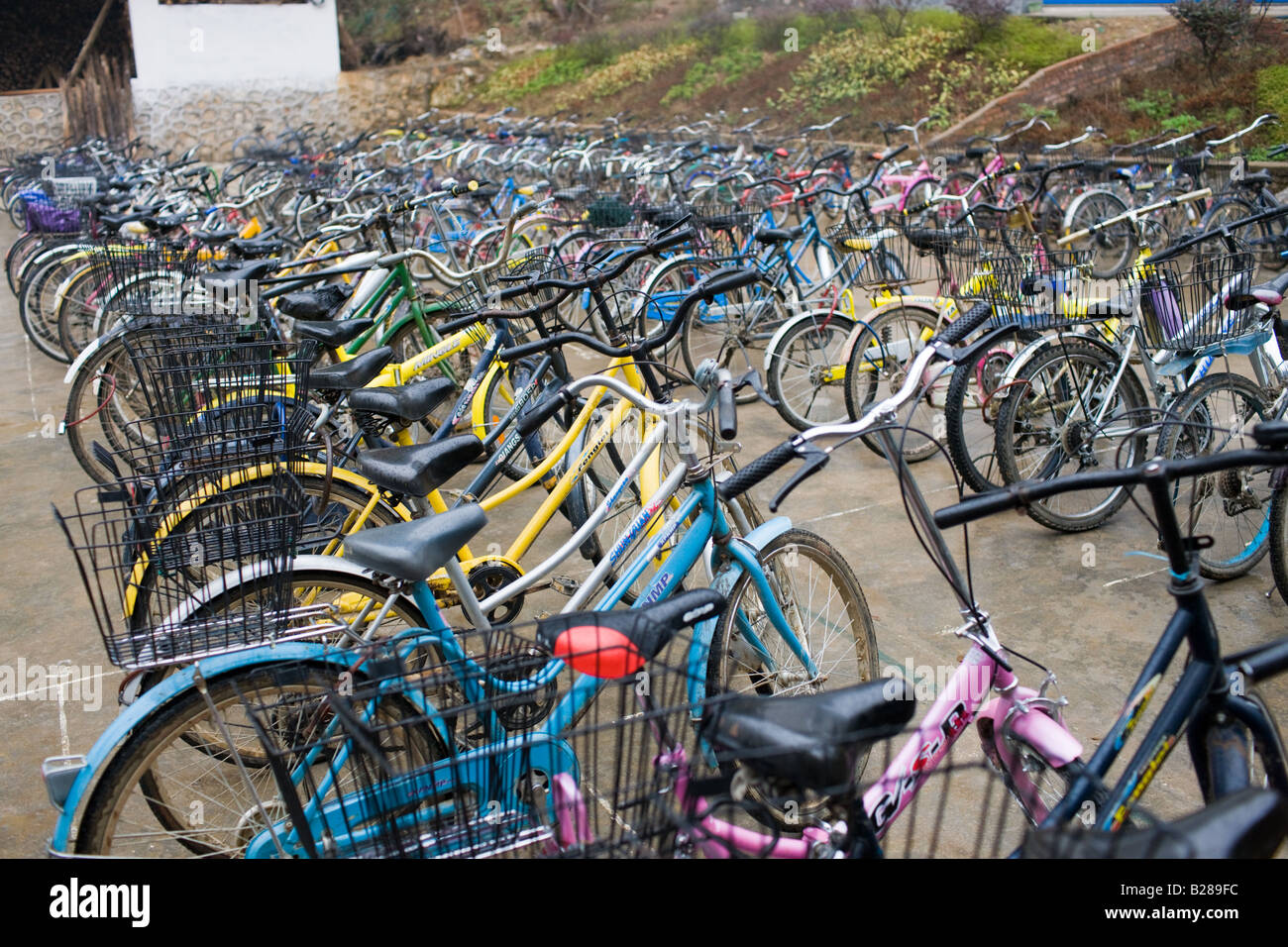 Biciclette schierate al di fuori di una scuola in Cina Xingping Foto Stock