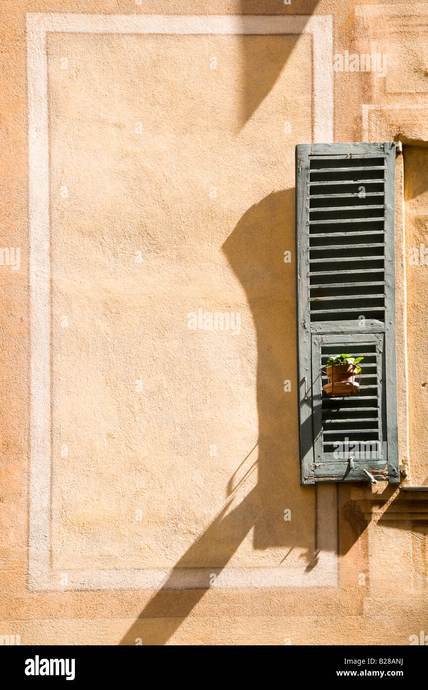 Vecchia persiana con impianto pot, Vieux Nice, Cote d'Azur, in Francia Foto Stock
