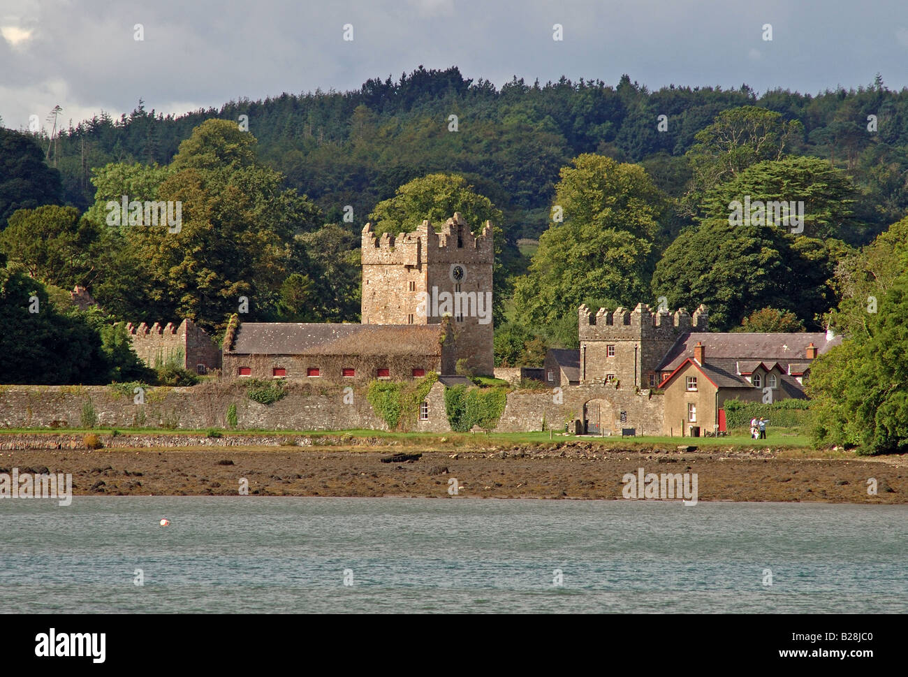 Castle Ward Casa Torre Strangford Lough Irlanda del Nord Foto Stock