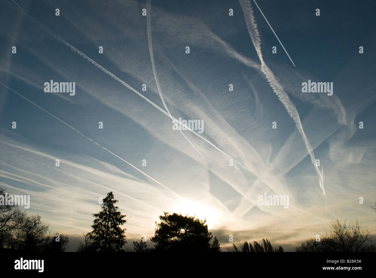 Sentieri di vapore da aerei in cielo che mostra la traiettoria di volo su Midhurst SUSSEX REGNO UNITO Sunrise Foto Stock