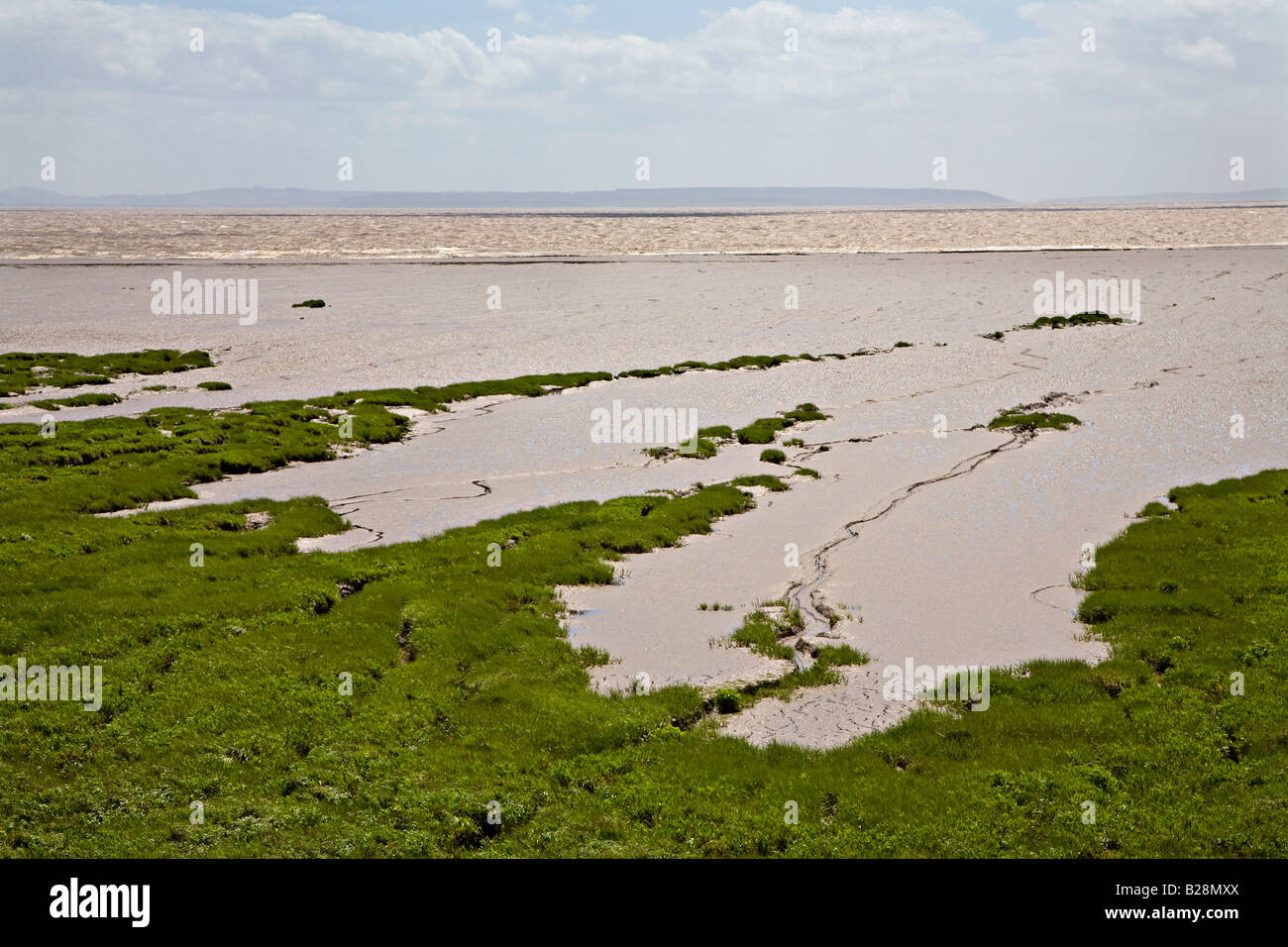 Saltmarsh e velme sul tidal Severn Estuary Newport Wales UK Foto Stock