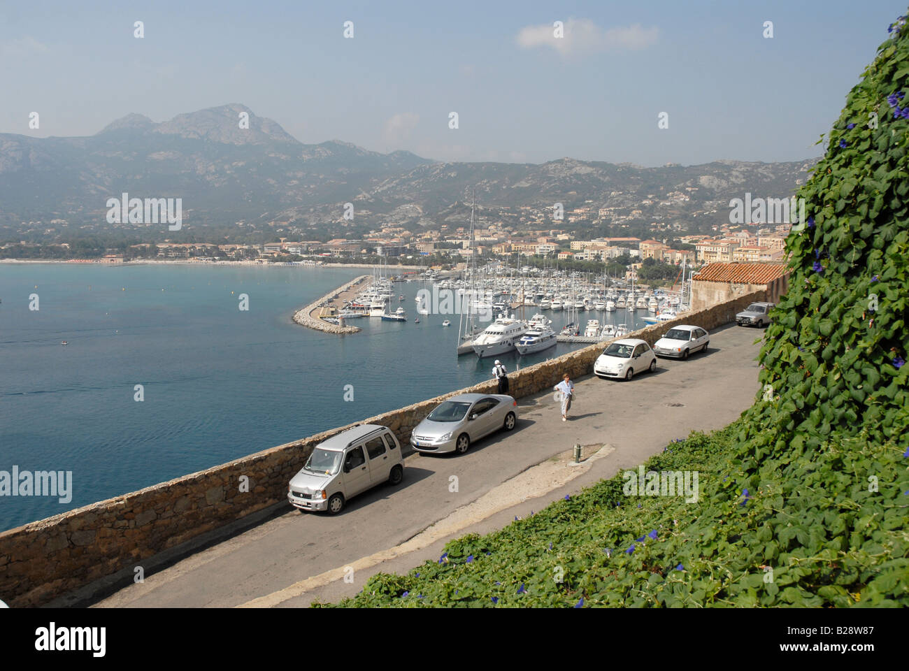 Barche di lusso moared presso il porto di Calvi in Corsica del Nord Foto Stock