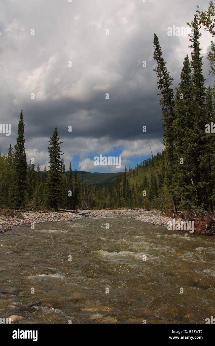 Raccogliere tempesta nel paese di Kananaskis, Alberta Foto Stock