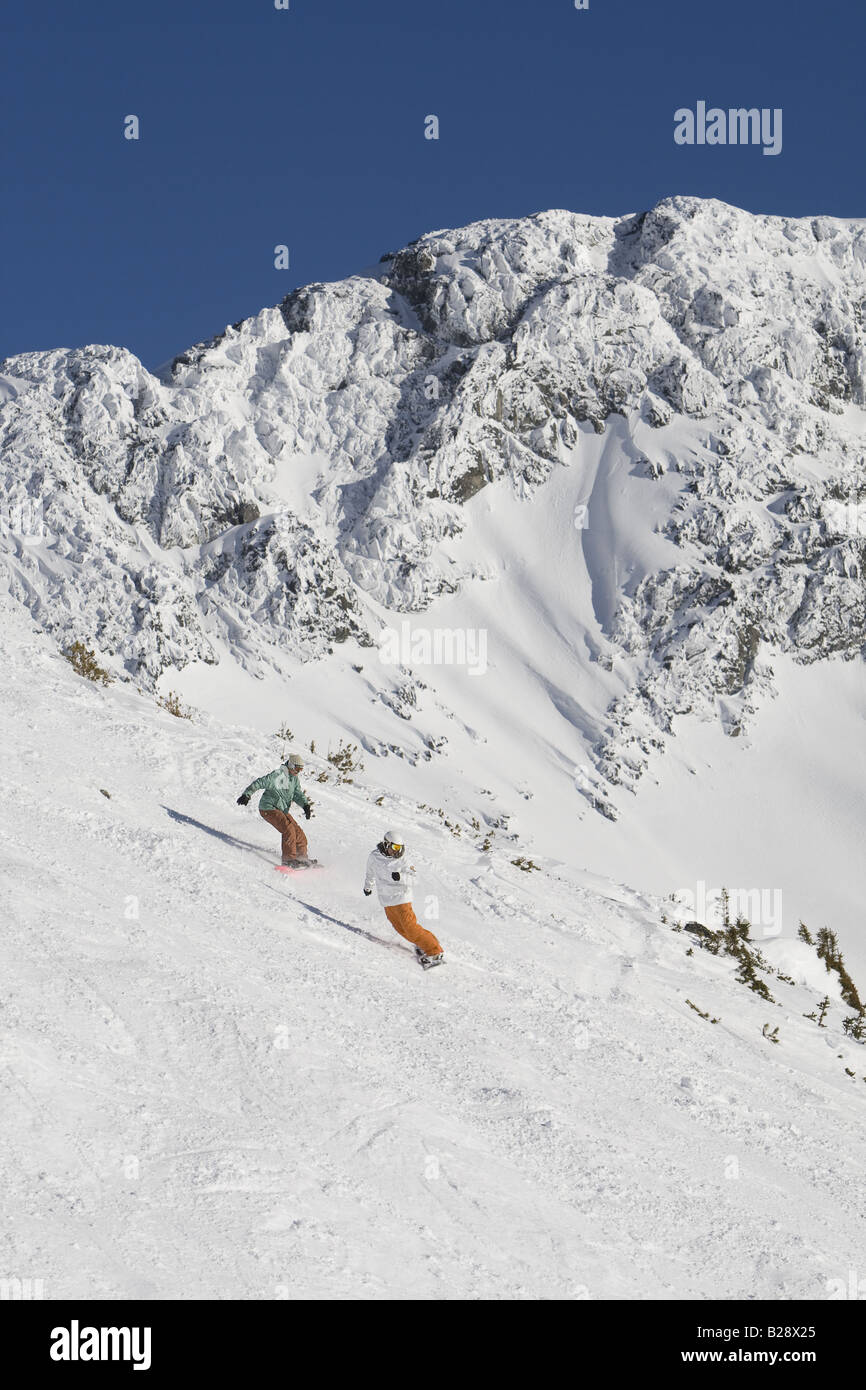 Sci Backcountry Whistler della Columbia britannica in Canada Foto Stock