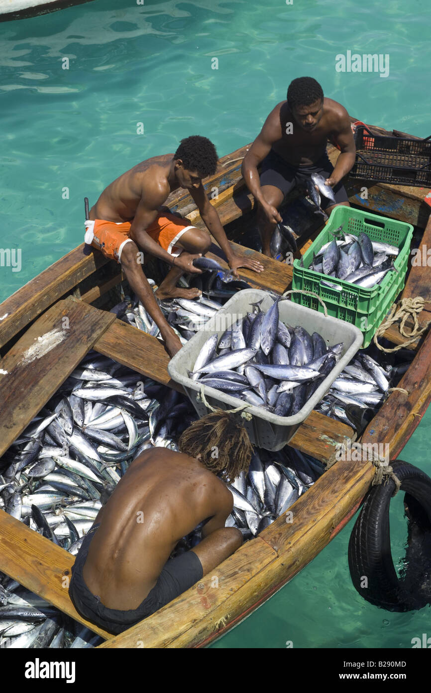 I pescatori di Santa Maria Isola di Sal Isole di Capo Verde Foto Stock