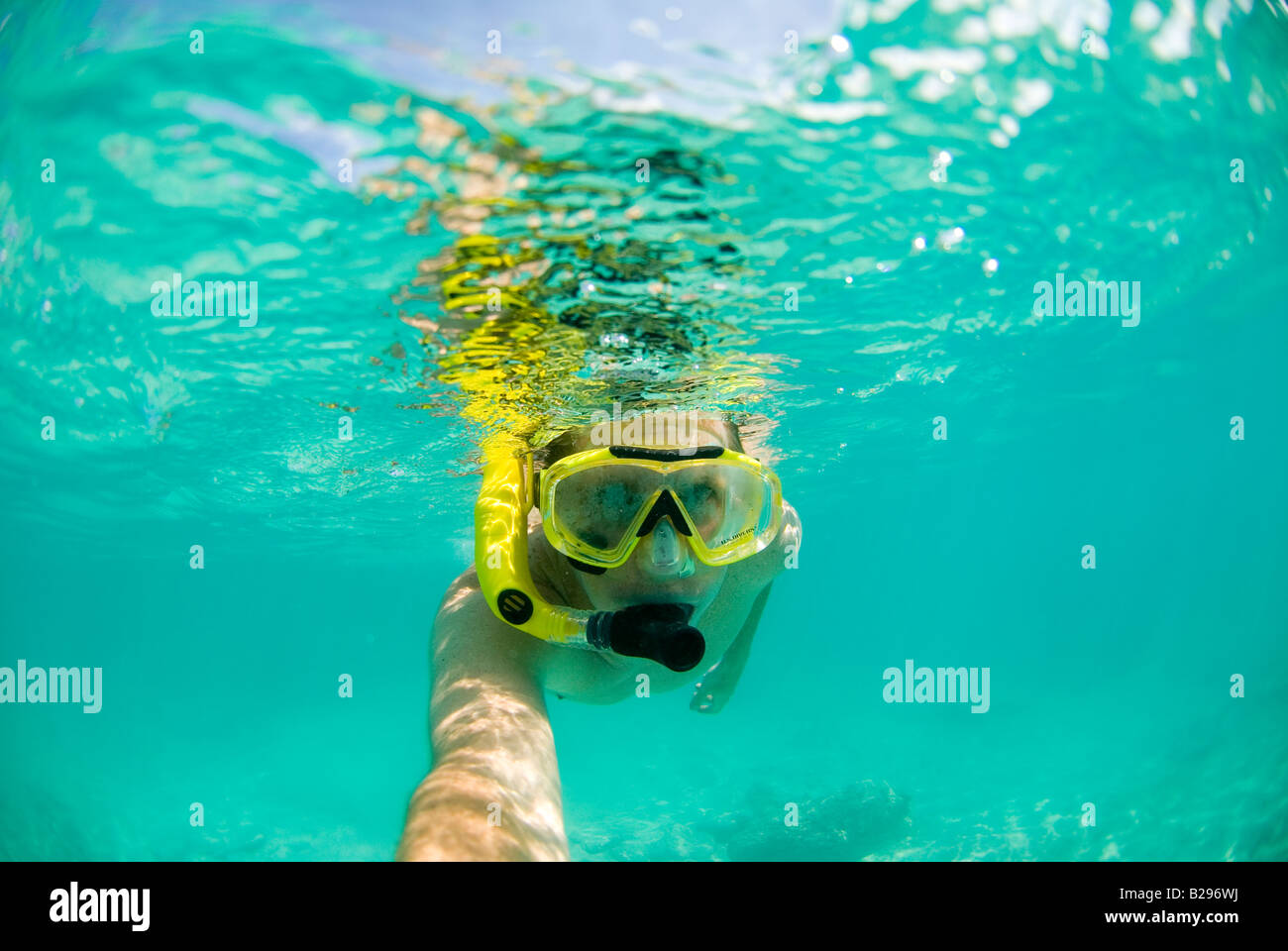 Un maschio di subacquea lo snorkeling in acque cristalline di Southampton Parish, Bermuda. Foto Stock