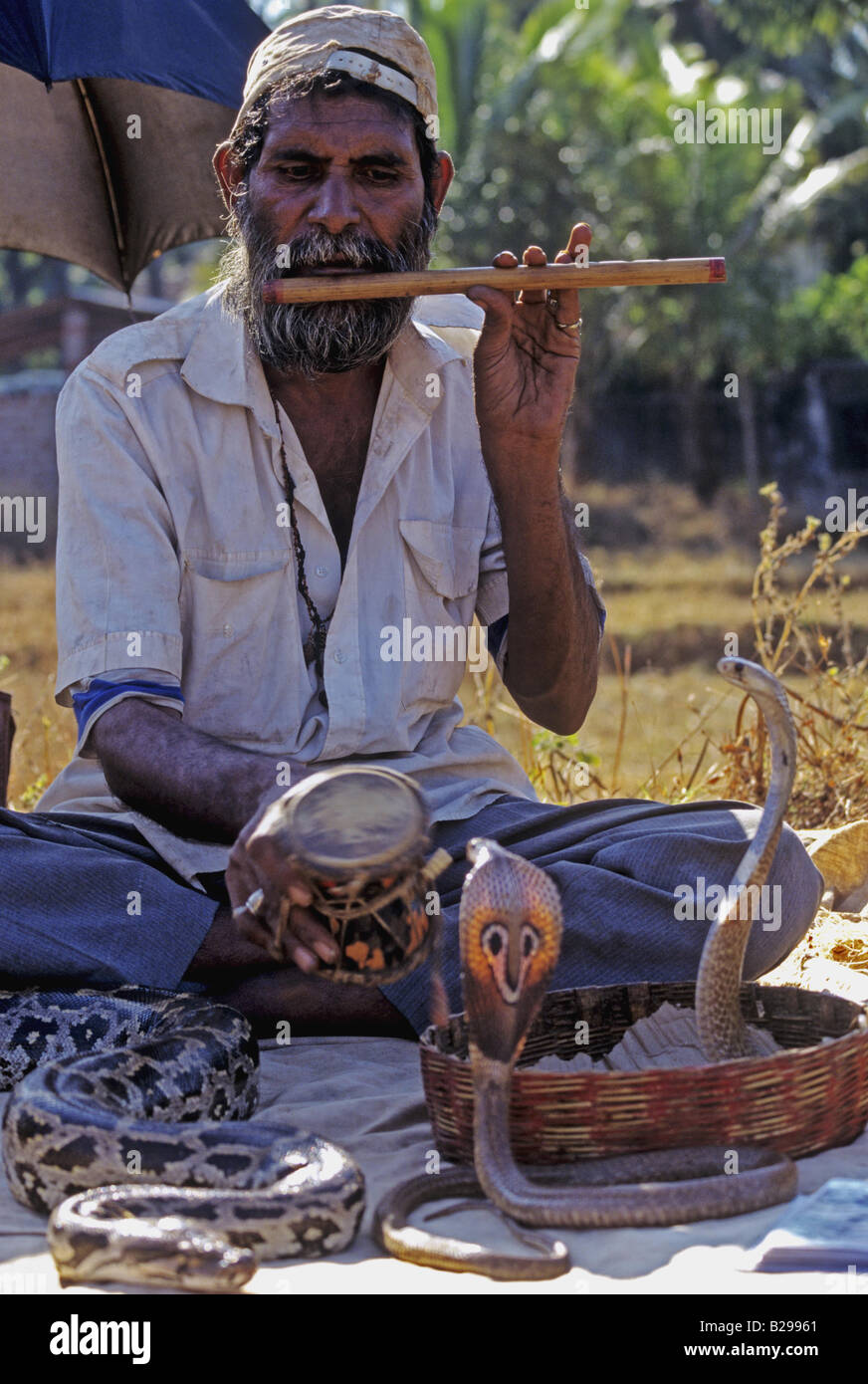Il serpente incantatore stato di Goa India Data 15 06 2008 Ref ZB548 115573 0157 credito obbligatoria World Pictures Photoshot Foto Stock