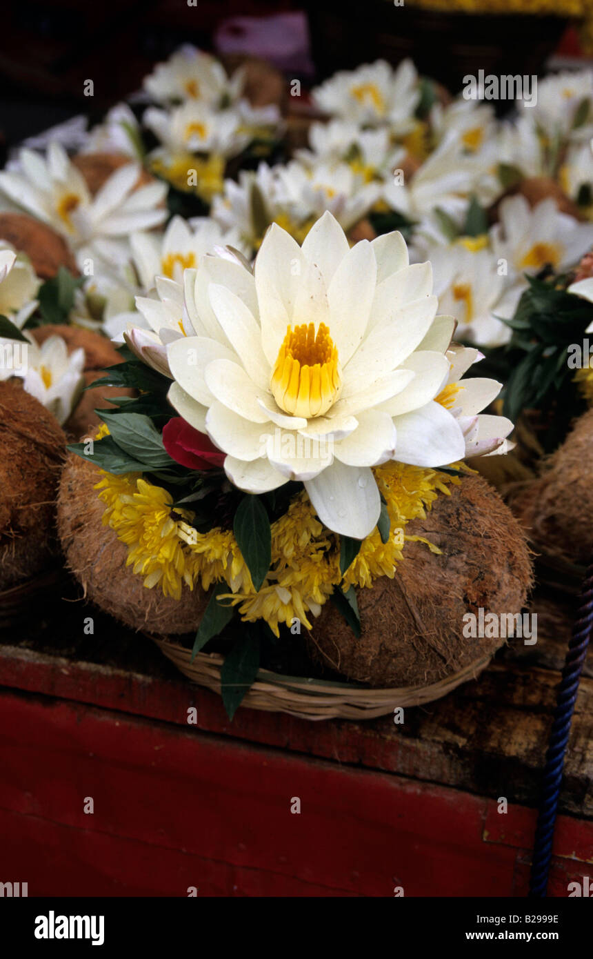 India del sud Tamil Nadu Madurai Meenakshi Temple Tempio Offerte Foto Stock