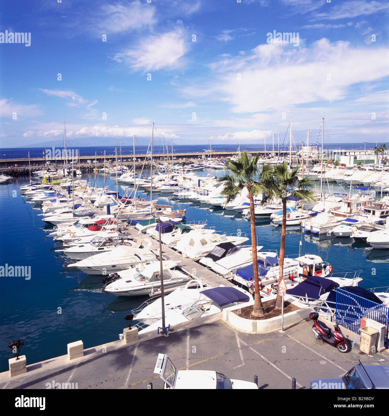 TENERIFE Canarie Spagna Playa de las Americas Puerto Colon Foto Stock