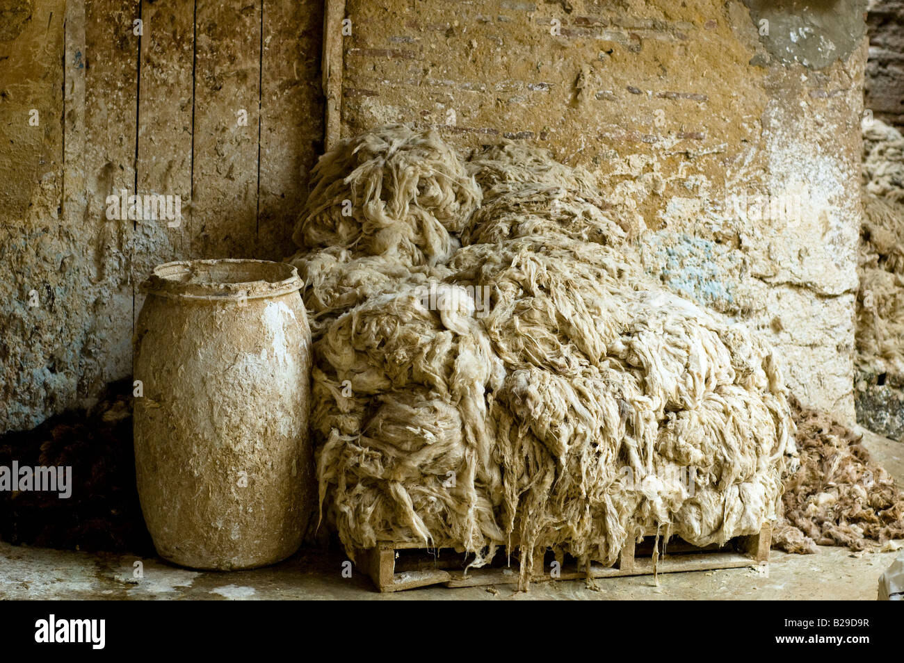 Pelli di pecora ammucchiati nella famosa area di concerie di Fes in Marocco. Questa è la zona dove le bucce vengono preparati per la tintura. Foto Stock