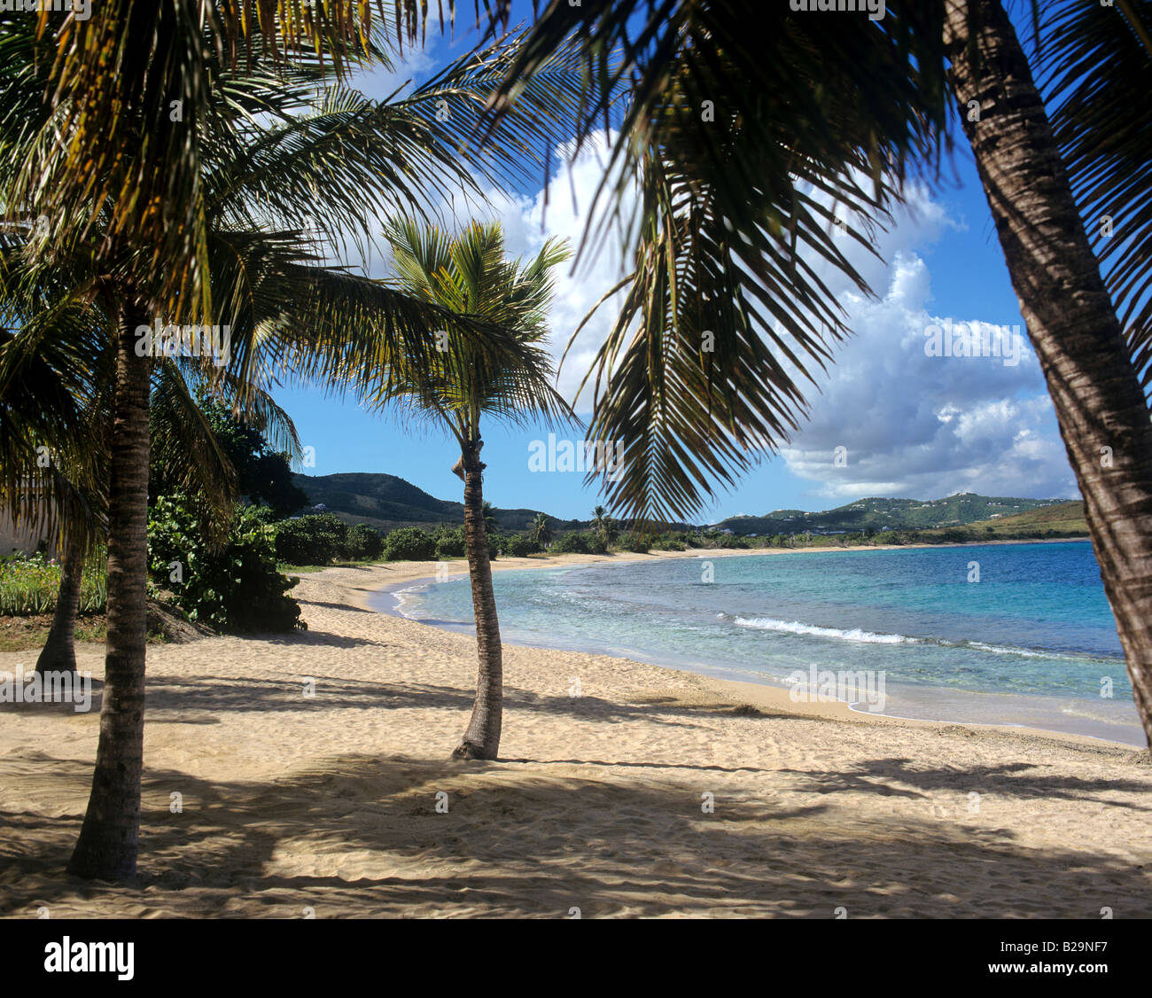 Da Buccaneer Beach St Croix Isole Vergini Americane Caraibi Foto Stock
