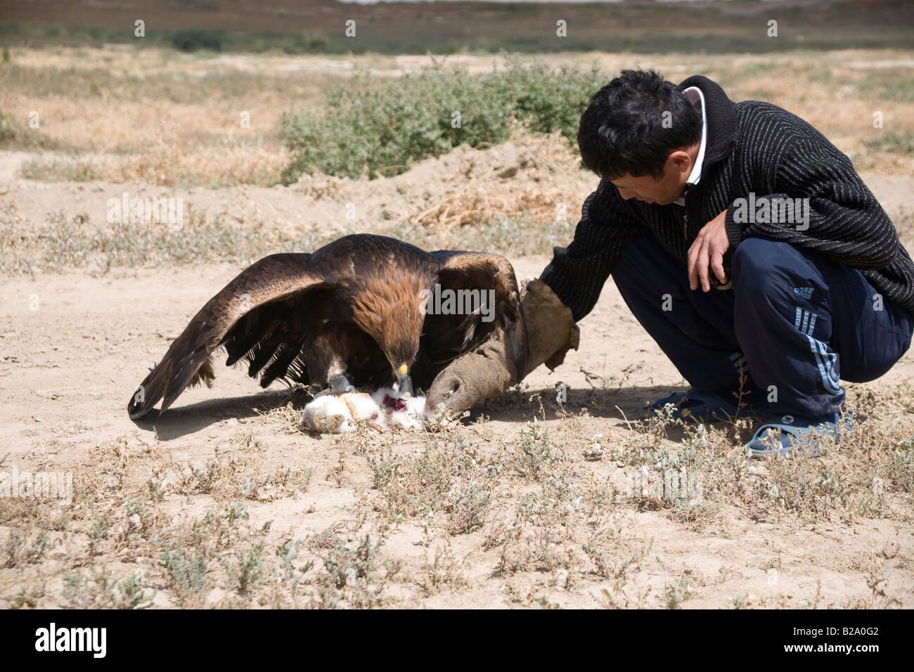 Via della Seta Kyrgyzstan Karakol Issyk Kul Lago Villaggio Kochten steppe Eagle con trainer Foto Stock