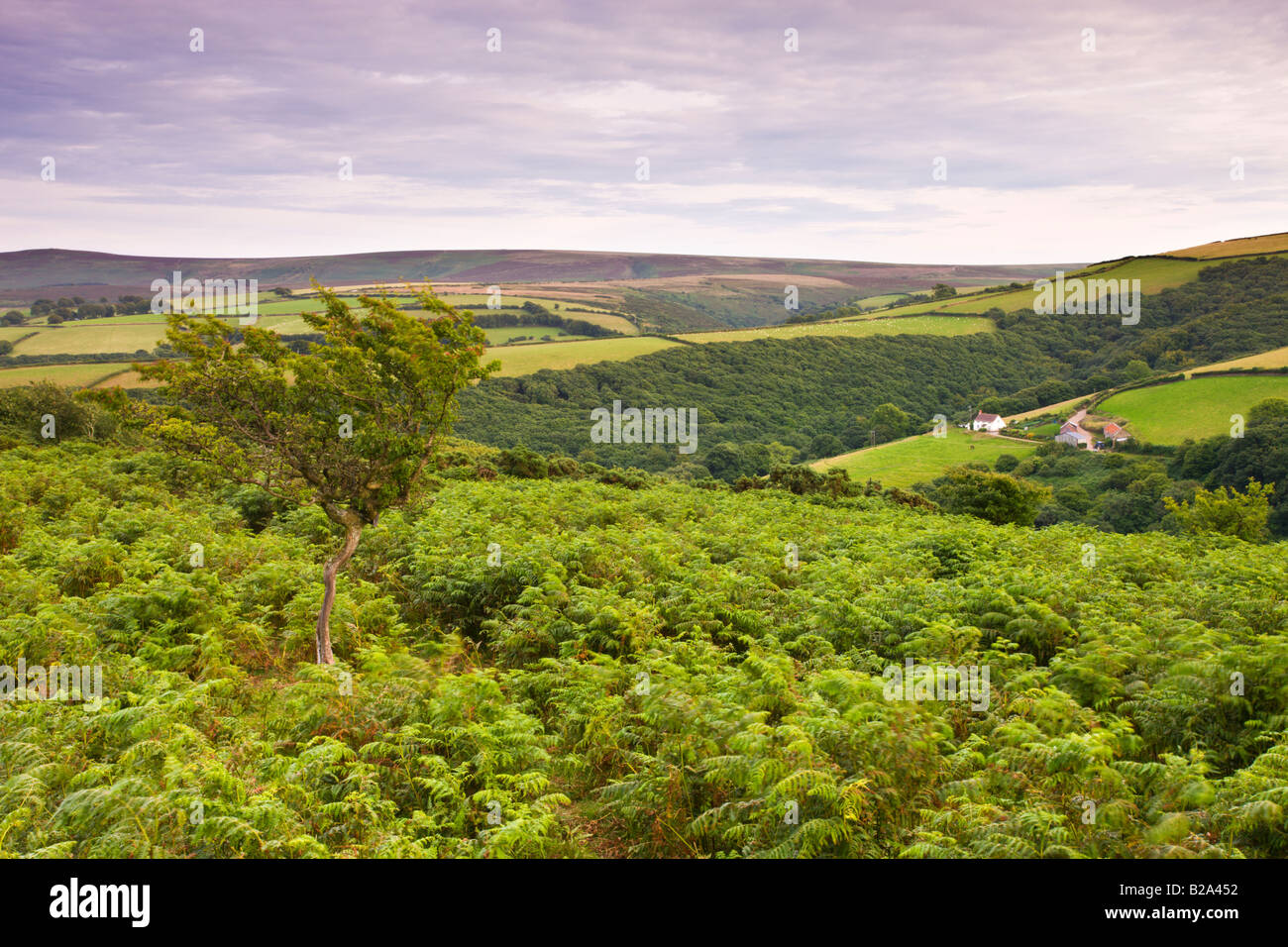 Il rotolamento dei terreni agricoli e di brughiera visto dalla collina Porlock Parco Nazionale di Exmoor Somerset Inghilterra Foto Stock
