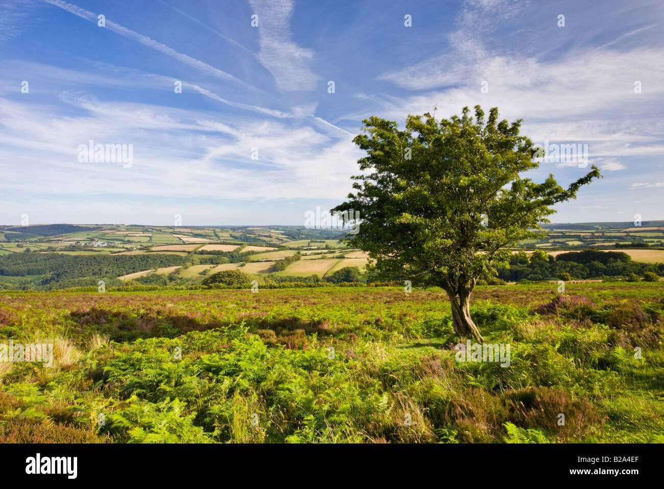Ampia vista dalla collina Dunkery su una giornata d'estate Parco Nazionale di Exmoor Somerset Inghilterra Foto Stock