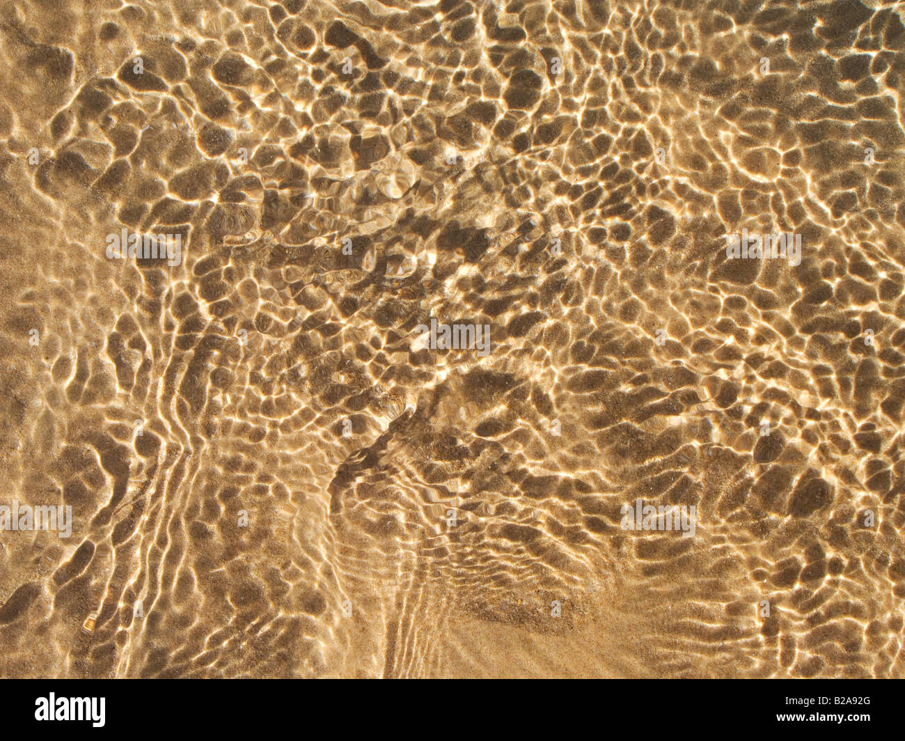 Acqua poco profonda in spiaggia con leopard spots efects Foto Stock